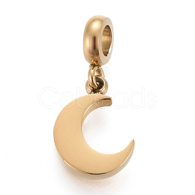 Ion Plating(IP) 304 Stainless Steel Charms STAS-F259-014G-1