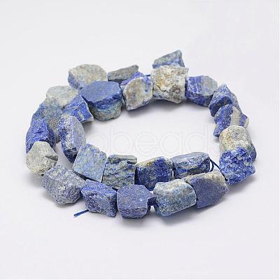 Raw Rough Natural Lapis Lazuli Beads Strands G-E343-13-1
