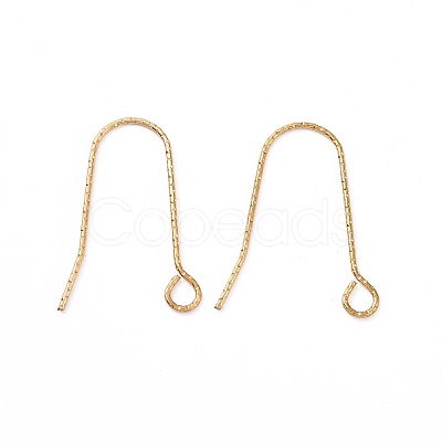 Ion Plating(IP) 316 Stainless Steel Earring Hooks X-STAS-C059-10G-1