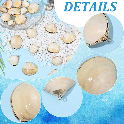 30Pcs Electroplated Natural Shell Pendants SSHEL-SC0001-58-1