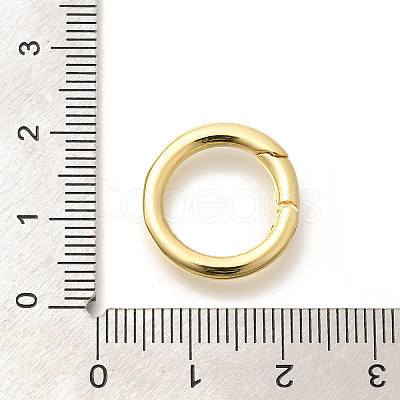 Brass Spring Gate Rings KK-L225-012G-1