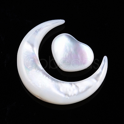 Natural White Shell Beads Sets SSHEL-N032-52B-02-1