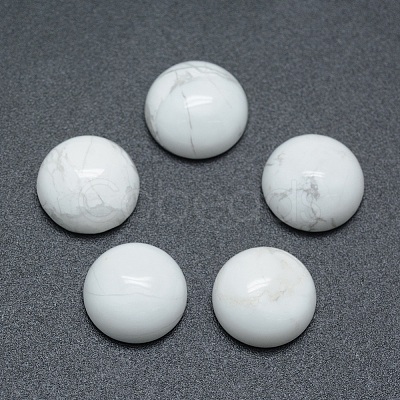 Natural Howlite Cabochons X-G-P393-R32-10mm-1
