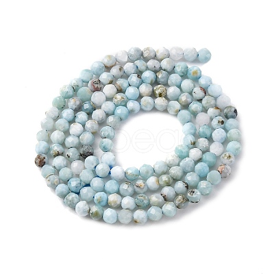 Natural Larimar Beads Strands G-F785-B01-01-1