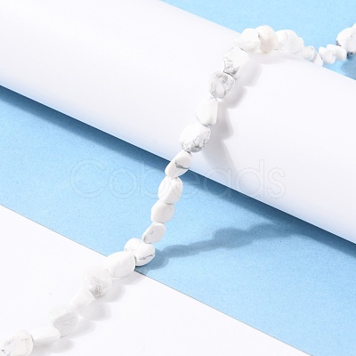 Natural Howlite Beads Strands G-G018-49-1