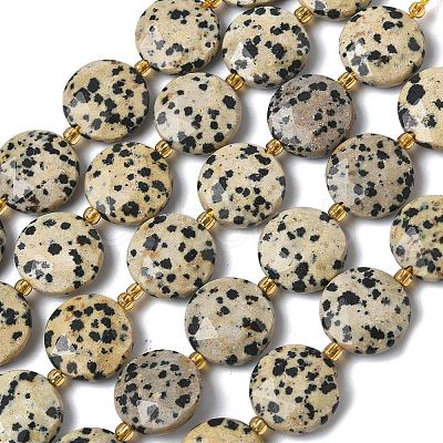Natural Dalmatian Jasper Beads Strands G-A292-A06-01-1