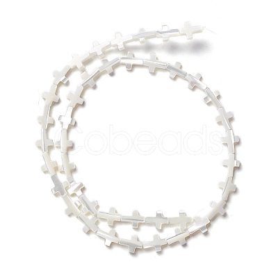 Natural Trochid Shell/Trochus Shell Beads SSHEL-O0001-22B-1