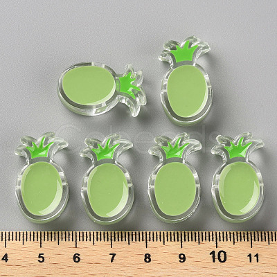 Transparent Enamel Acrylic Beads TACR-S155-002D-1