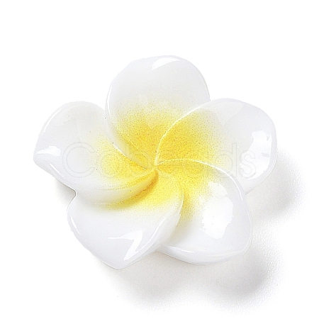 Opaque Resin Cabochons X-RESI-G068-02F-1