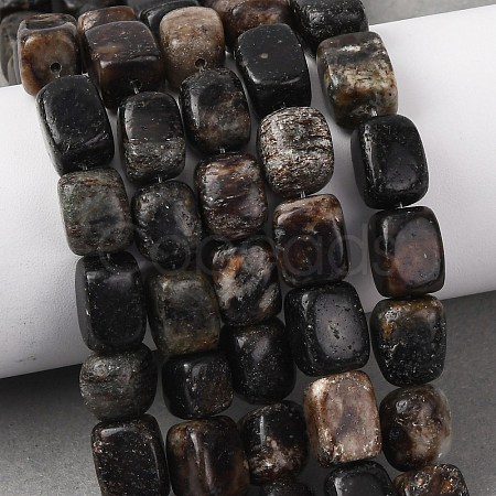 Natural Biotite Beads Strands G-D098-D15-1