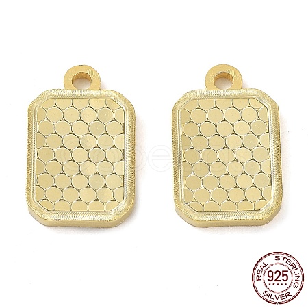 925 Sterling Silver Charms X-STER-C003-02G-1