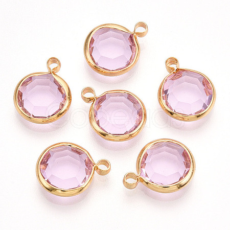 K9 Glass Charms GLAA-T023-37A-03-1