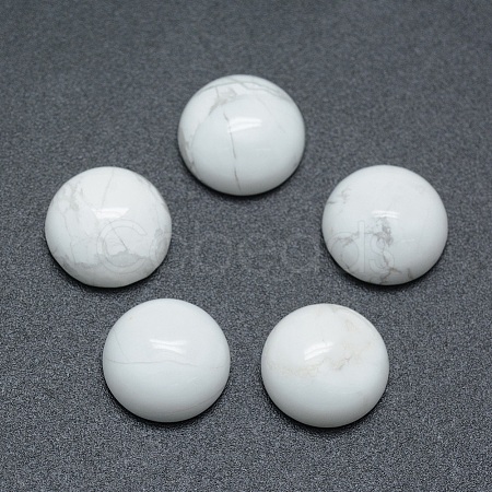Natural Howlite Cabochons X-G-P393-R32-10mm-1