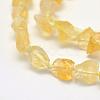 Rough Raw Natural Citrine Beads Strands G-K202-21-3