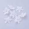 Transparent Acrylic Beads PL594-11-2