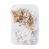 Dried Flowers X-DIY-D052-04-1