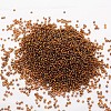 6/0 Transparent Glass Round Seed Beads SEED-J010-F6-31-2