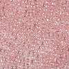 TOHO 8/0 Round Beads SEED-TR08-0289-2