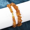 Natural Amber Chip Beaded Necklaces NJEW-L466-03A-3