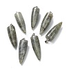 Natural Labradorite Pointed Pendants G-D040-01P-B04-1