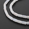 Electroplate Frosted Glass Beads Strands EGLA-T008-026-A01-4