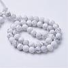 Natural Howlite Beads Strands G-T055-8mm-02-2