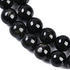 Natural Gemstone Beads Strands G-F779-A01-01-4