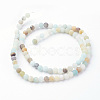 Natural Flower Amazonite Bead Strands G-G735-61F-4mm-2