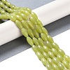 Natural Lemon Jade Beads Strands G-K362-I13-06-2