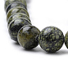 Natural Serpentine/Green Lace Stone Beads Strands G-S259-15-8mm-3