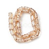 Electroplate Glass Beads Strands EGLA-L045-F-PL04-2