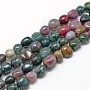 Natural Indian Agate Beads Strands G-R445-8x10-07-1