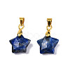 Natural Lapis Lazuli Charms X-G-N326-142-02-2