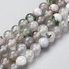 Natural Tree Agate Beads Strands G-I199-03-6mm-4