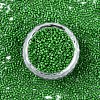 FGB 11/0 Grade A Glass Seed Beads SEED-S030-1004-3