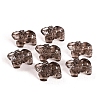 Natural Ice Obsidian Carved Elephant Beads PW-WGDD892-01-1