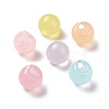 Imitation Jelly Style Acrylic Charms OACR-B002-06-1