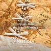 Preciosa&reg MAXIMA Crystal Round Stones X-PRC-RBSS39-10070-5