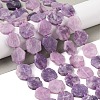 Natural Lepidolite Beads Strands G-L095-A01-01B-2