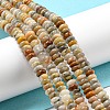 Natural Crazy Lace Agate Beads Strands X-G-K343-C04-02-2