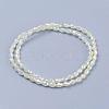 Electroplate Glass Beads Strands EGLA-J013-4X6mm-F03-5
