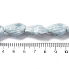 Ocean Series Handmade Porcelain Beads PORC-R002-04C-4
