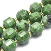 Natural Diopside Beads Strands G-K303-A10-12mm-1