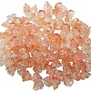 Handmade Lampwork Beads LAMP-CJC0008-16B-1