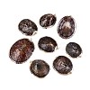 Electroplated Golden Brass Edged Natural Sea Shell Pendants SSHEL-Q101-01-1