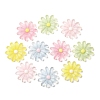 Transparent Resin Cabochons CRES-I046-04-2