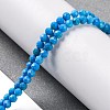 Natural Howlite Beads Strands G-C025-02B-10-2