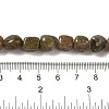 Natural Unakite Beads Strands G-B078-D25-01-5