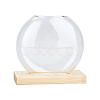 Glass Vase DJEW-WH0007-59A-1