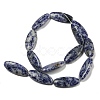 Natural Blue Spot Jasper Beads Strands G-B078-E07-01-3